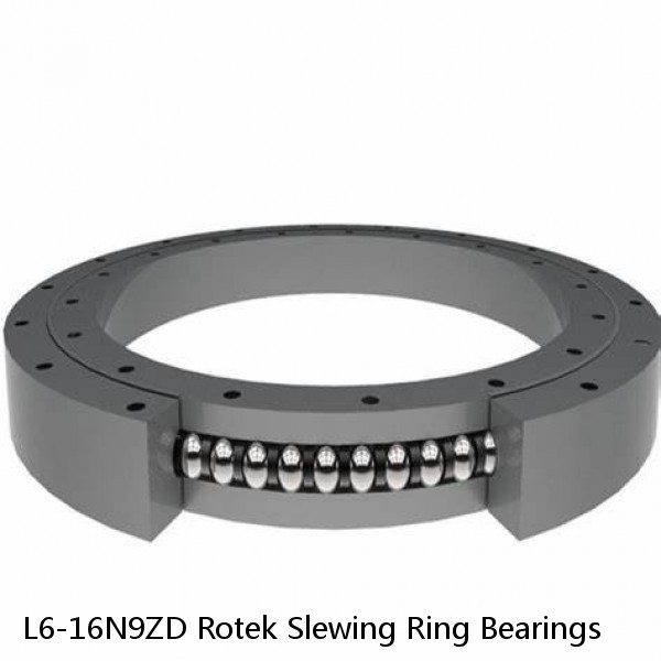 L6-16N9ZD Rotek Slewing Ring Bearings
