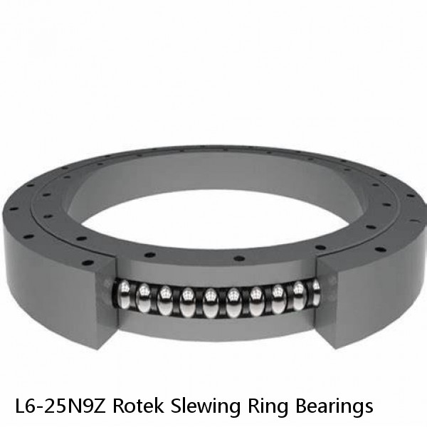 L6-25N9Z Rotek Slewing Ring Bearings