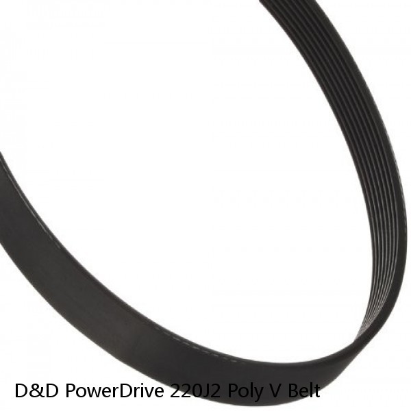 D&D PowerDrive 220J2 Poly V Belt