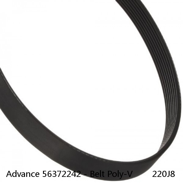 Advance 56372242 - Belt Poly-V        220J8