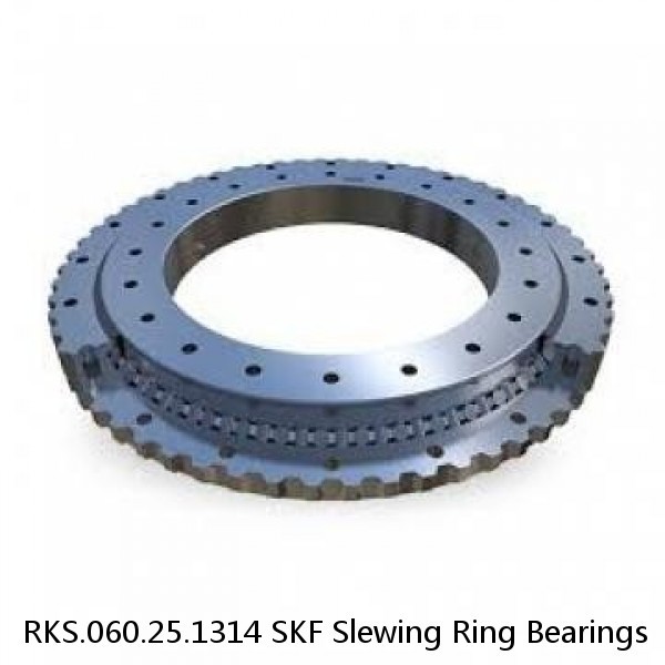 RKS.060.25.1314 SKF Slewing Ring Bearings #1 small image