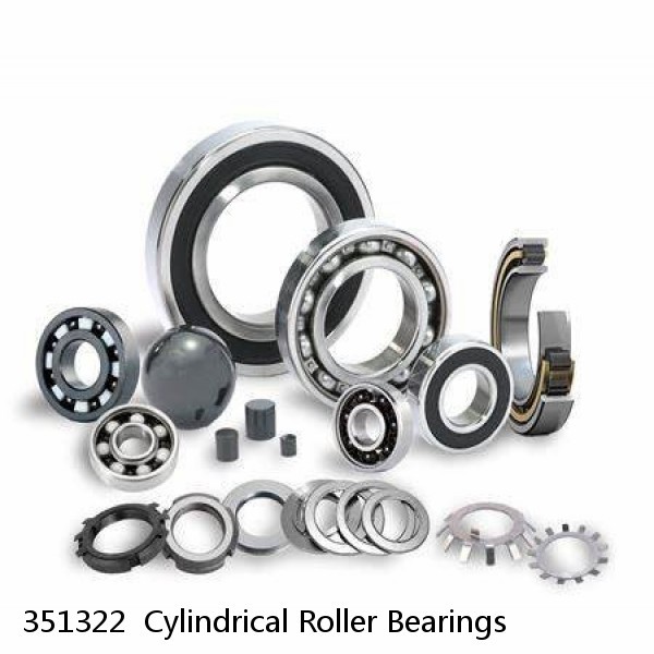 351322  Cylindrical Roller Bearings #1 small image