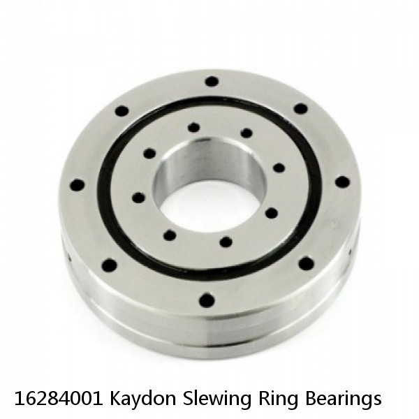 16284001 Kaydon Slewing Ring Bearings #1 small image