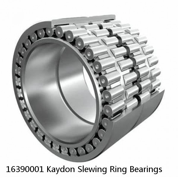 16390001 Kaydon Slewing Ring Bearings #1 small image