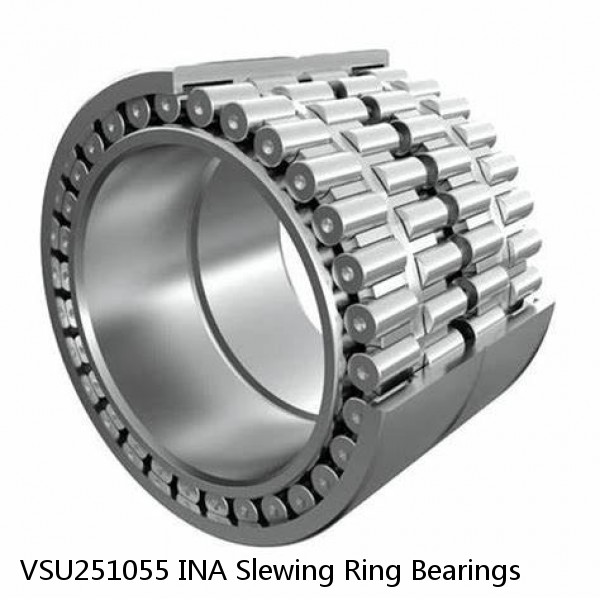 VSU251055 INA Slewing Ring Bearings #1 small image