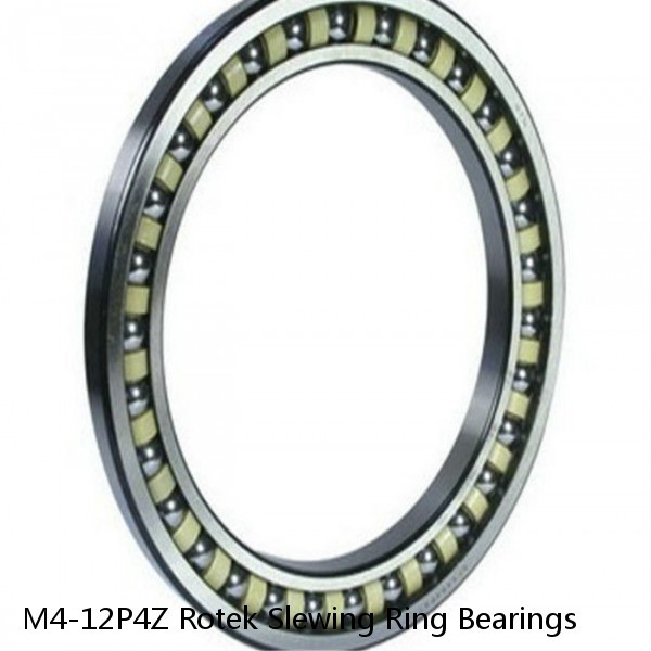 M4-12P4Z Rotek Slewing Ring Bearings #1 small image