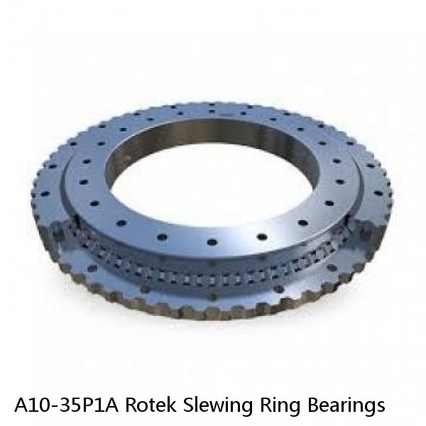 A10-35P1A Rotek Slewing Ring Bearings #1 small image