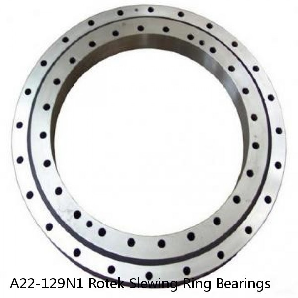 A22-129N1 Rotek Slewing Ring Bearings #1 small image