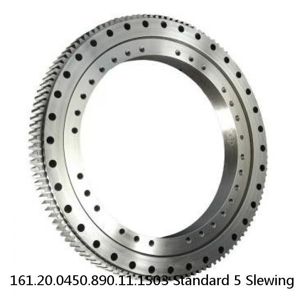 161.20.0450.890.11.1503 Standard 5 Slewing Ring Bearings #1 small image