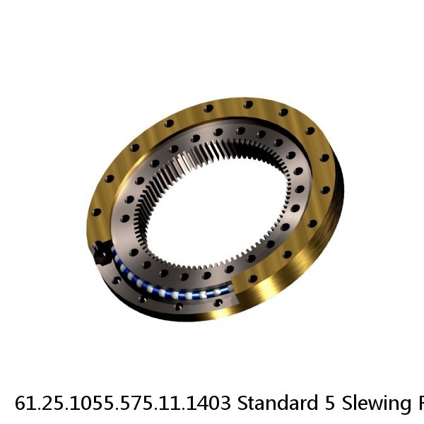 61.25.1055.575.11.1403 Standard 5 Slewing Ring Bearings
