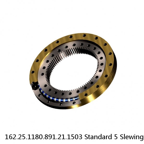162.25.1180.891.21.1503 Standard 5 Slewing Ring Bearings #1 small image