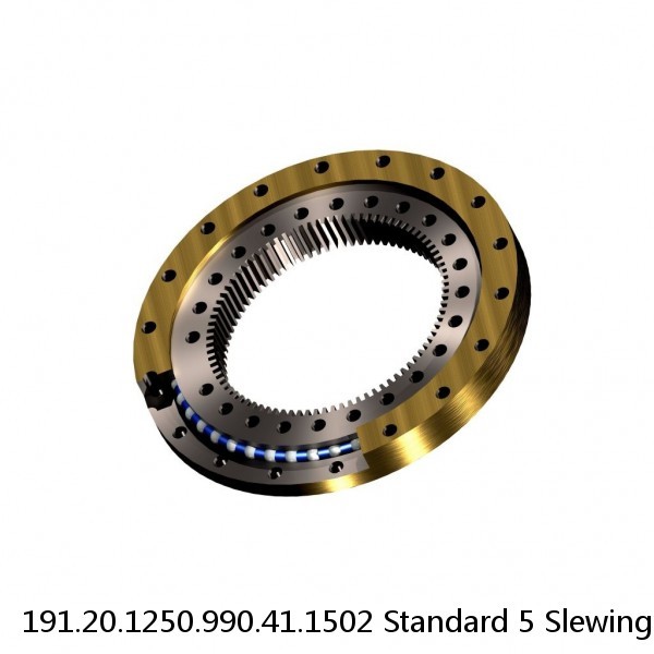 191.20.1250.990.41.1502 Standard 5 Slewing Ring Bearings #1 small image