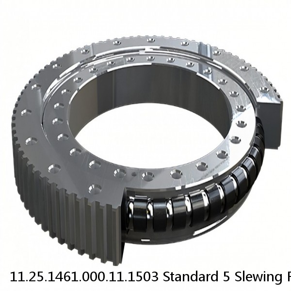 11.25.1461.000.11.1503 Standard 5 Slewing Ring Bearings #1 small image