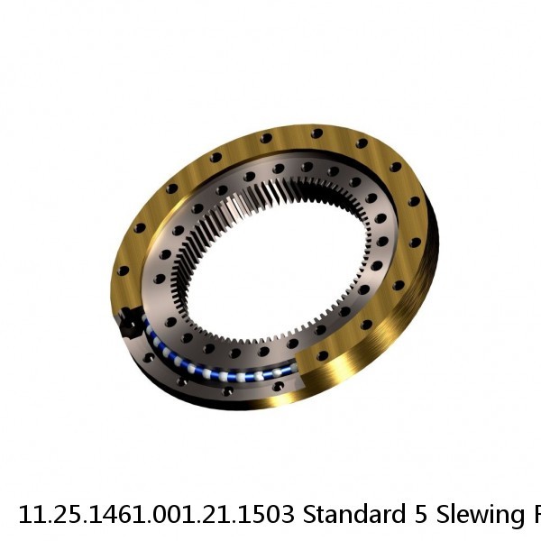 11.25.1461.001.21.1503 Standard 5 Slewing Ring Bearings #1 small image