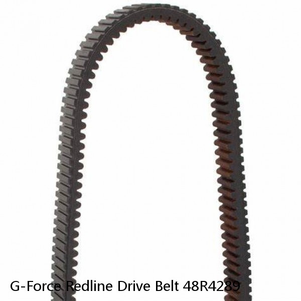 G-Force Redline Drive Belt 48R4289 #1 small image