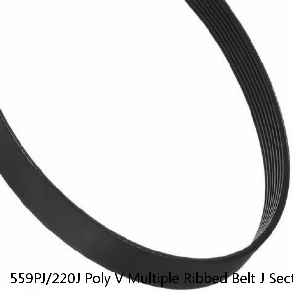559PJ/220J Poly V Multiple Ribbed Belt J Section 2.34mm - 559mm /22" Long