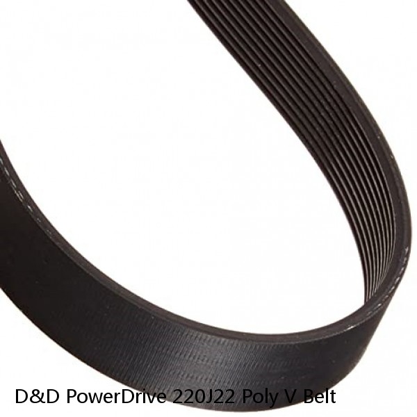D&D PowerDrive 220J22 Poly V Belt