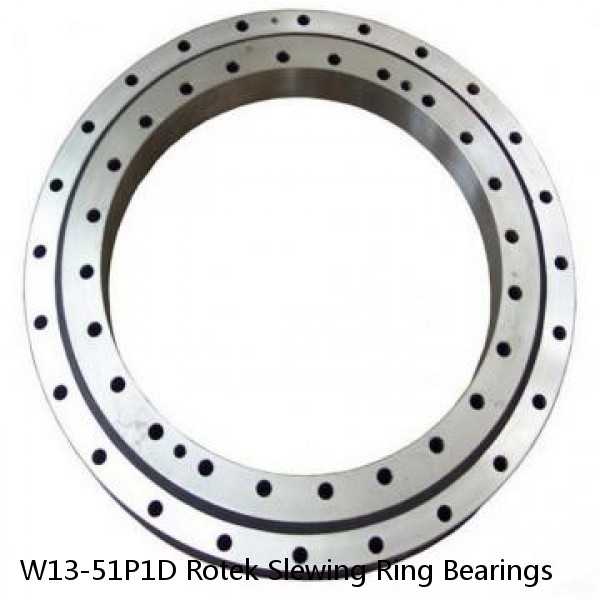 W13-51P1D Rotek Slewing Ring Bearings #1 image