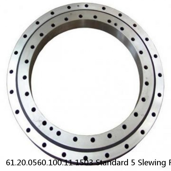61.20.0560.100.11.1503 Standard 5 Slewing Ring Bearings #1 image