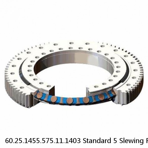 60.25.1455.575.11.1403 Standard 5 Slewing Ring Bearings #1 image