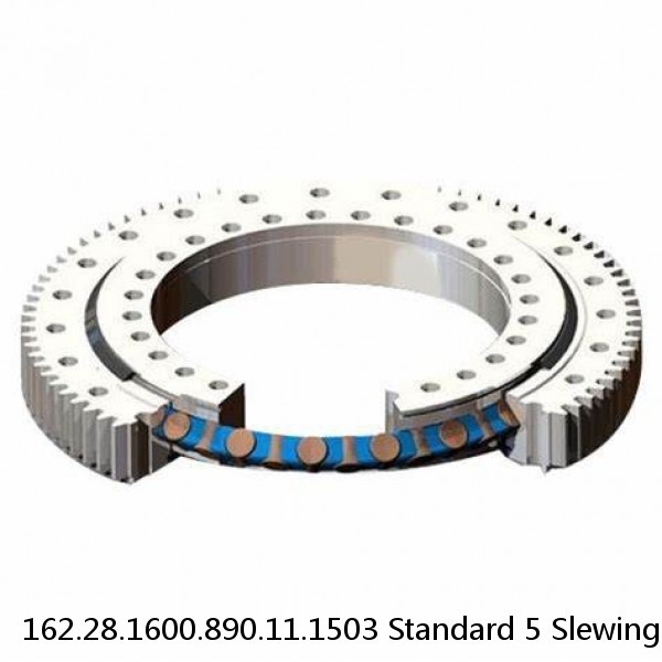 162.28.1600.890.11.1503 Standard 5 Slewing Ring Bearings #1 image