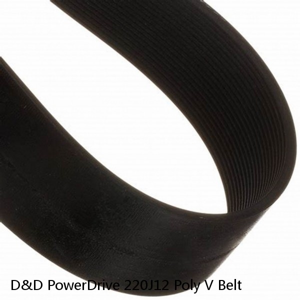 D&D PowerDrive 220J12 Poly V Belt #1 small image