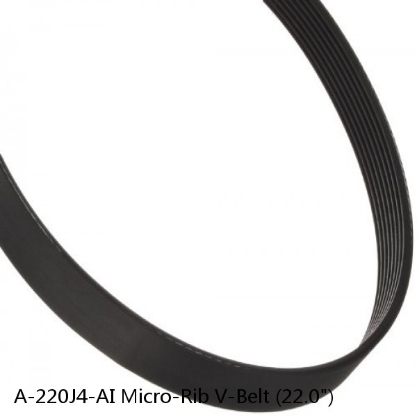 A-220J4-AI Micro-Rib V-Belt (22.0") #1 small image