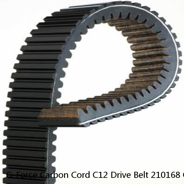 G-Force Carbon Cord C12 Drive Belt 210168 OEM# 417300166