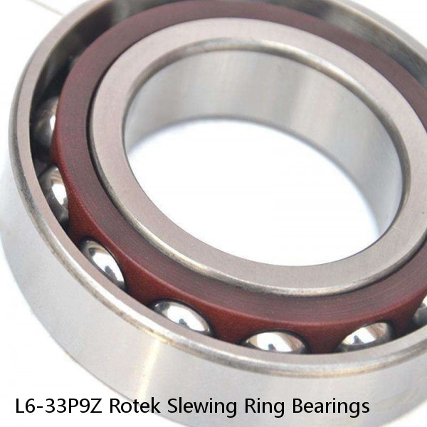 L6-33P9Z Rotek Slewing Ring Bearings #1 image